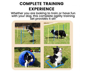 Dog Agility Training Set