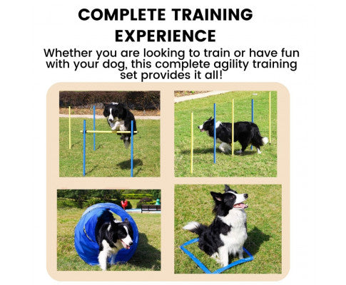 Dog Agility Training Set