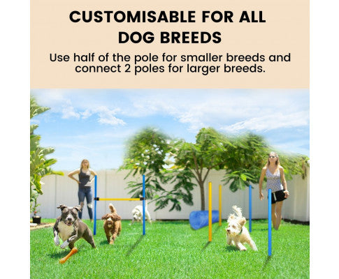 Dog Agility Training Set