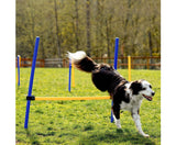 Dog Agility Training Set