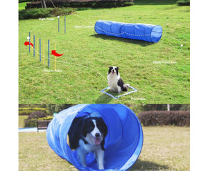 Dog Agility Training Set