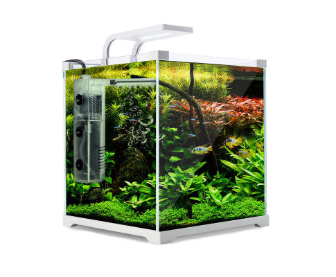 Fish deals tank afterpay