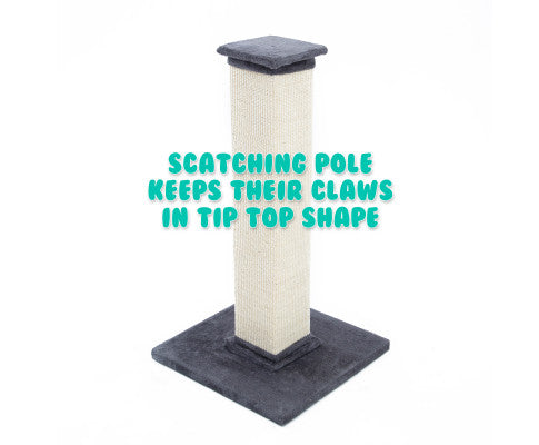 92cm Cat Scratching Post / Tree / Pole