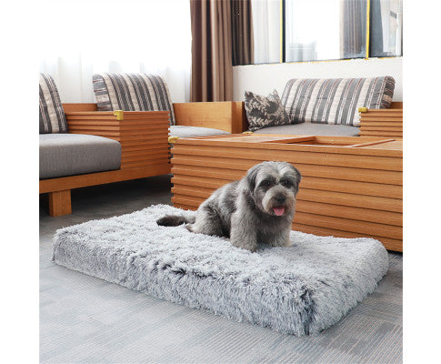 Rectangle Dog Bed Plush - Gradient