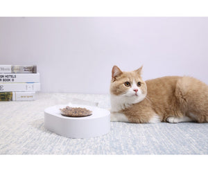 ADJUSTABLE CAT FEEDING BOWL - SINGLE