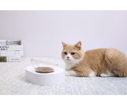 ADJUSTABLE CAT FEEDING BOWL - SINGLE