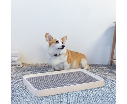 Pura Dog Training Tray