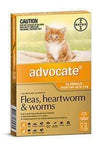 Advocate Orange Cat 0-4Kg (3 Pack)