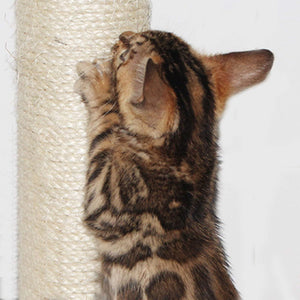 Cat Scratching Post Specialists | Cat Scratcher Trees & Poles 110cm Cat Scratching Post / Tree / Pole - Beige