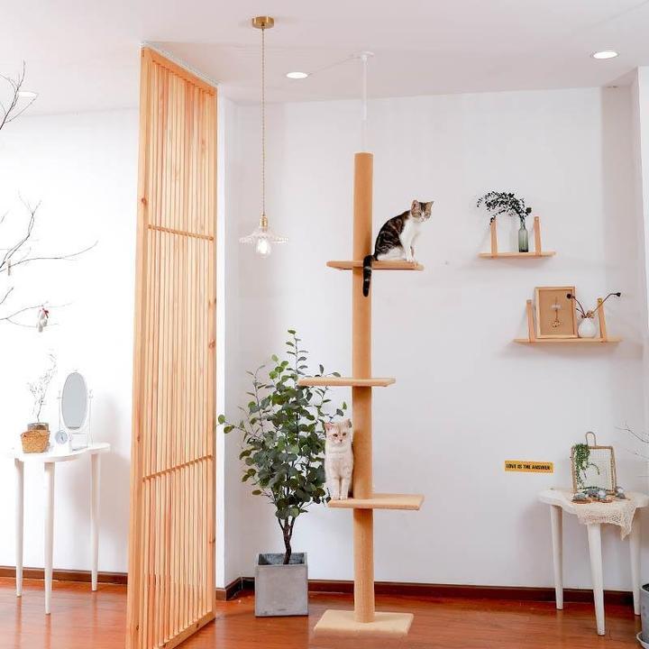 Cat Scratching Post Specialists | Cat Scratcher Trees & Poles 228cm Floor To Ceiling Cat Scratching Post / Tree / Pole - Beige