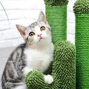 Cat Scratching Post Specialists | Cat Scratcher Trees & Poles 53cm Cat Scratching Post / Tree / Pole - Green