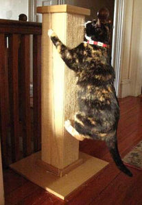 Heavy-Duty Cat Scratching Post