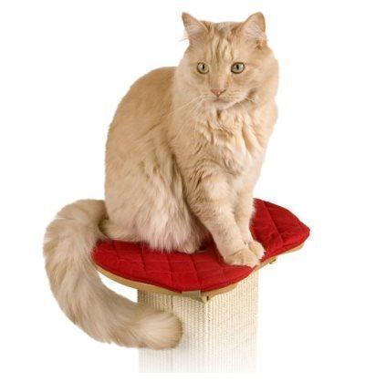 Cat Scratching Post Specialists | Cat Scratcher Trees & Poles Scratching Post Perch Seat