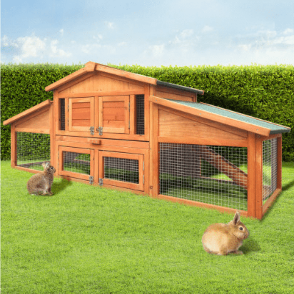 Shop Chicken Coops Online - Direct to Pet Australia – Direct To Pet