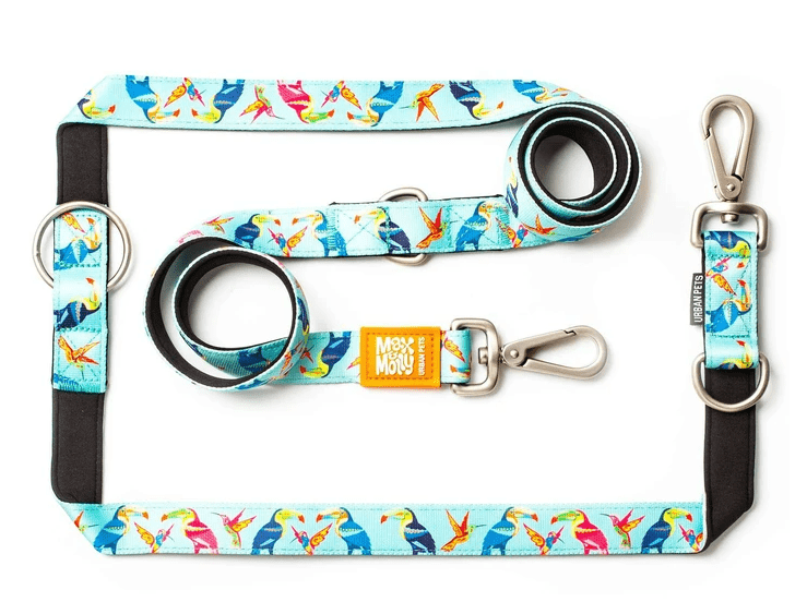 Copy of Blue Starfish Dog Collar and Leash Set