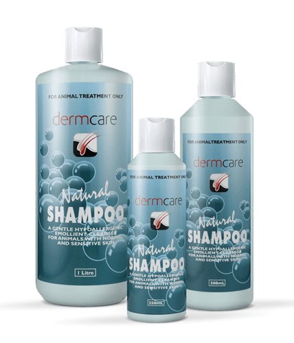 Dermcare – Natural Shampoo 250ml