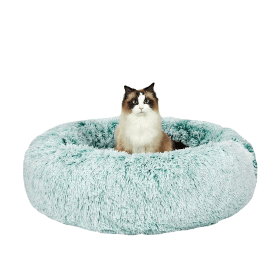 Dog & Cat Donut Bed - Teal
