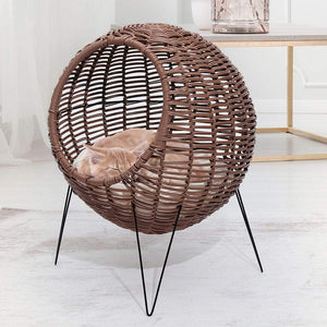 DOG & CAT WICKER ...