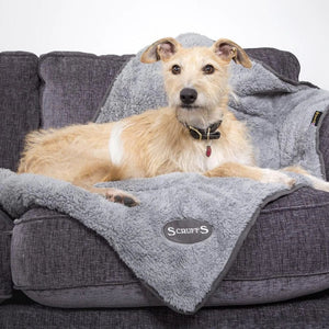 Dog & Puppy Bed Specialists | Dog & Puppy Beds, Trampolines & Mats 110 x 72cm Reversible Cosy Blanket – Grey