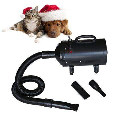 Dog & Puppy Bed Specialists | Dog & Puppy Beds, Trampolines & Mats Dog Hair Dryer with 3 Nozzles - Black 2400 W