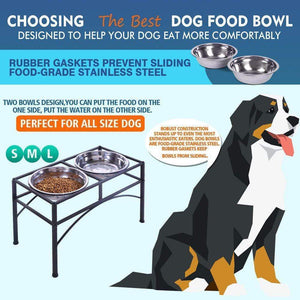 Dual Elevated Dog Feeder Bowl