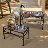 Dual Elevated Dog Feeder Bowl