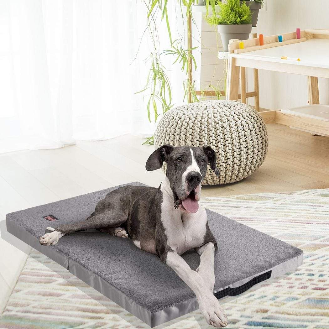 Dog & Puppy Bed Specialists | Dog & Puppy Beds, Trampolines & Mats Foldable Dog Cushion Bed