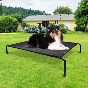 Pet Care Medium Mesh Pet Trampoline - Black