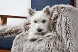Dog & Puppy Bed Specialists | Dog & Puppy Beds, Trampolines & Mats Reversible Cuddler Blanket – Mink