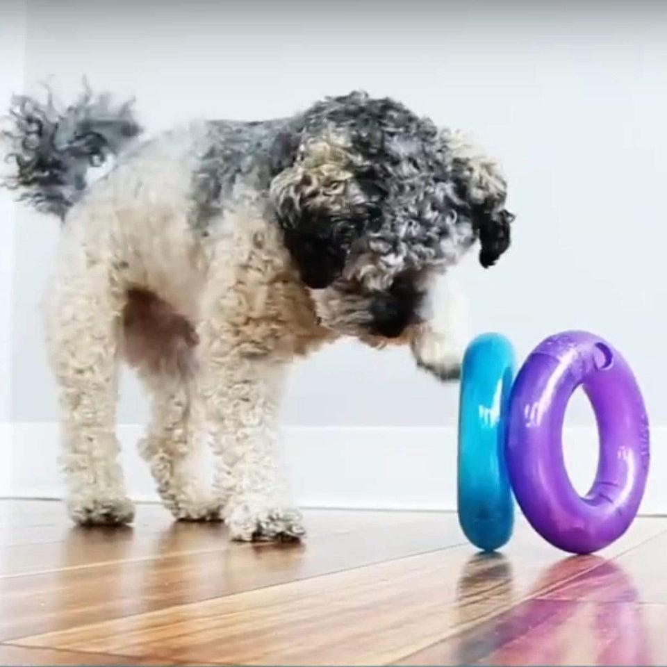 KONG Treat Spiral Ring Dog Treat Dispenser - Large