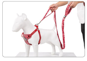 Large Multi Handle Harness -  Poppy Red
