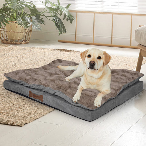 Large Removable Orthopedic Dog & Cat Bed - Khaki