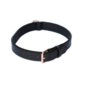 Legacy Collection Collar - Black X-Large