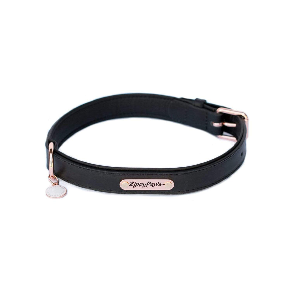 Legacy Collection Collar - Black X-Large