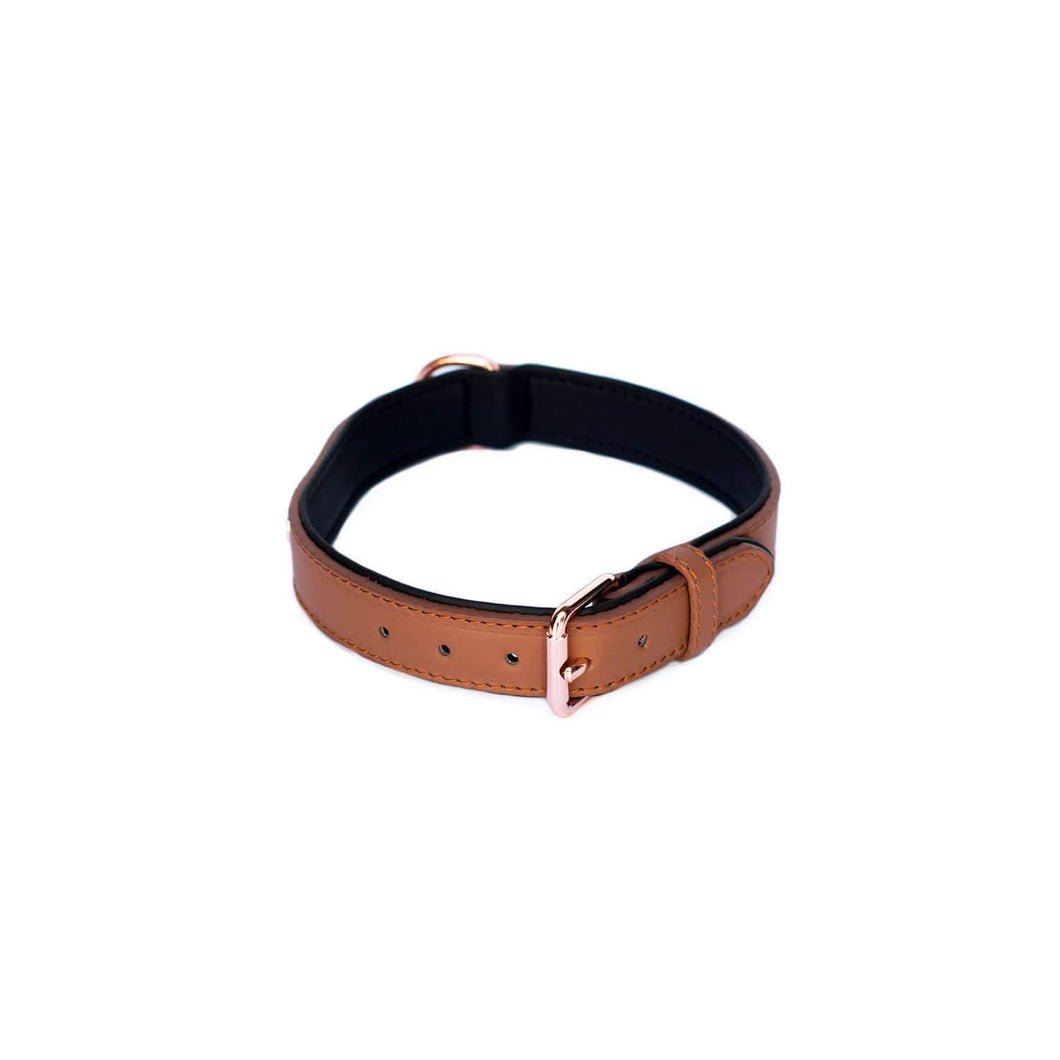 Legacy Collection Collar - Brown Large