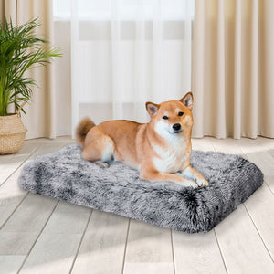 Medium Orthopedic Memory Foam Dog Bed - Charcoal