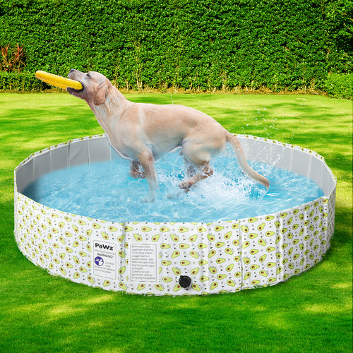 120cm Dog & Cat  Portable Swimming Pool