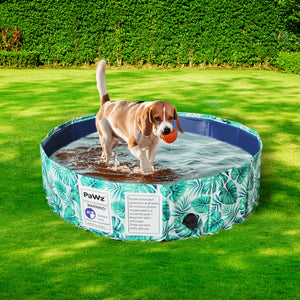 100cm Dog & Cat  Portable Swimming Pool