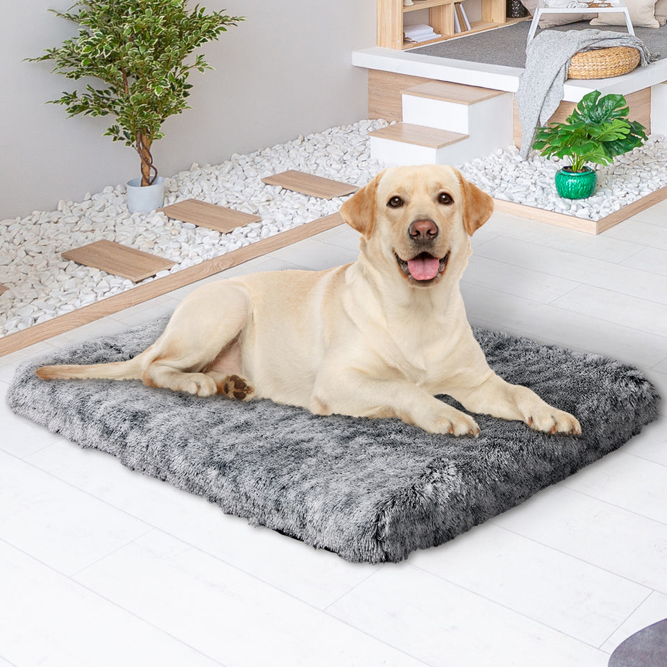 Large Orthopedic Memory Foam Dog Bed - Charcoal