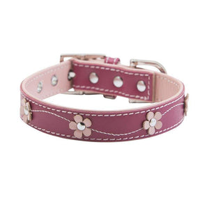 LUCY PINK DOG COLLAR