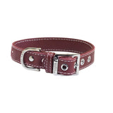 LUCY RED DOG COLLAR
