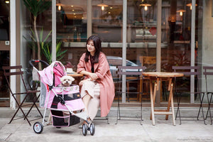 Matte Edition Diagonal Stripes Pet Stroller - Sugar Pink