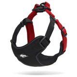 Medium Urban Harness - Black/Red