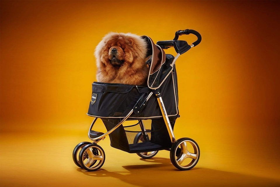 Monarch Premium Pet Jogger - Luxury Gold