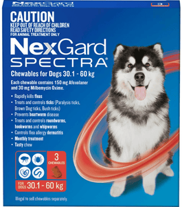 NEXGARD SPECTRA XL DOG (30.1-60Kg) 3 PK