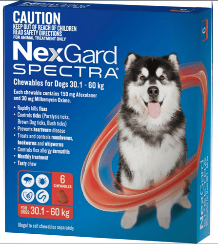 NEXGARD SPECTRA XL DOG (30.1-60Kg) 6 PK