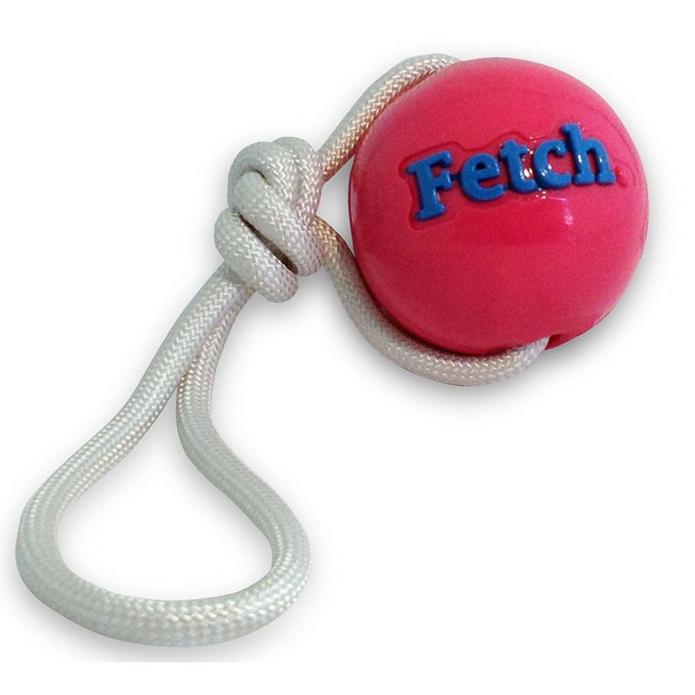Orbee Tuff Fetch Ball Tough Dog Toy with Rope
