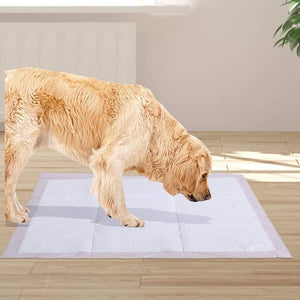 PawZ 100 Pcs 60x60 cm Pet Puppy Dog Toilet Training Pads Absorbent Meadow Scent
