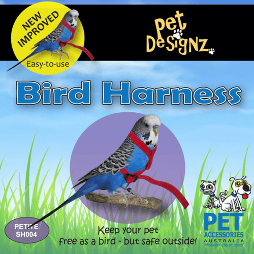 Pet Designz Bird Harness - Black