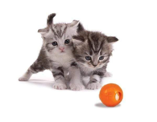 Petstages Orka Kat Catnip Infused Ball